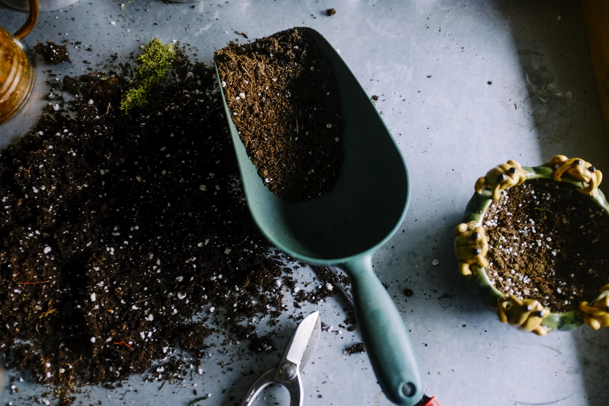 Community Gardens as Social Infrastructure: How Urban Farming is Rebuilding Neighborhoods